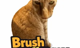Brush Jjaemu - Play on Snow Rider
