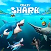Crazy Shark Icon Crazy Shark