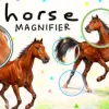 Horse Magnifier Icon Horse Magnifier