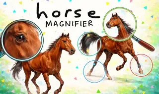 Horse Magnifier - Play on Snow Rider