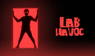Lab Havoc - Play on Snow Rider