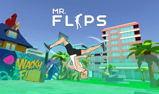 Mr Flip - Play on Snow Rider